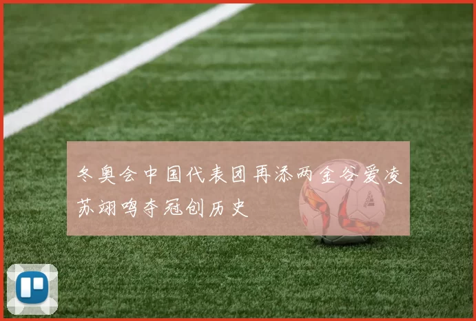 冬奥会中国代表团再添两金谷爱凌苏翊鸣夺冠创历史