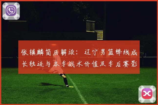 张镇麟简历解读:辽宁男篮锋线成长轨迹与本季战术价值及季后赛影响力