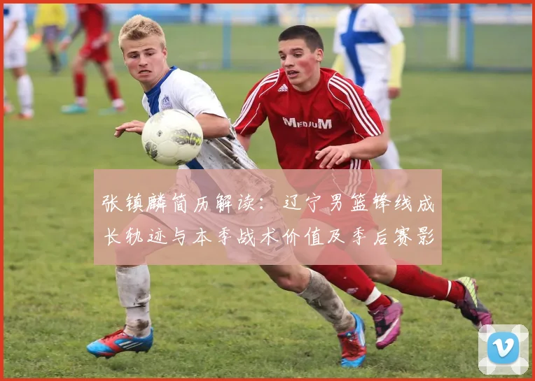 张镇麟简历解读:辽宁男篮锋线成长轨迹与本季战术价值及季后赛影响力