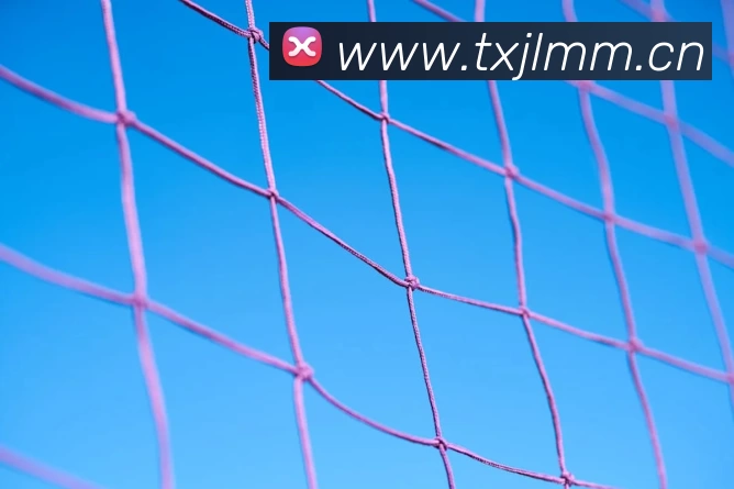 爱游戏ayx官方网页 - 爱游戏(中国)APP 封面图